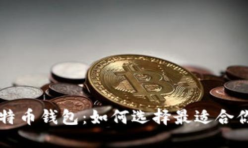 深入探索比特币钱包：如何选择最适合你的钱包类型