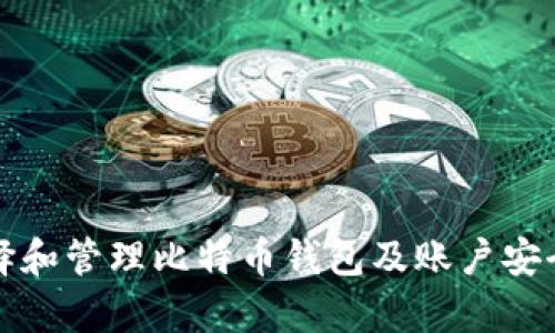 如何选择和管理比特币钱包及账户安全性分析