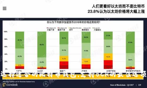 选择适合的比特币钱包，支持BCH的最佳选项