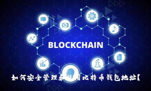 如何安全管理和使用比特币钱包地址？