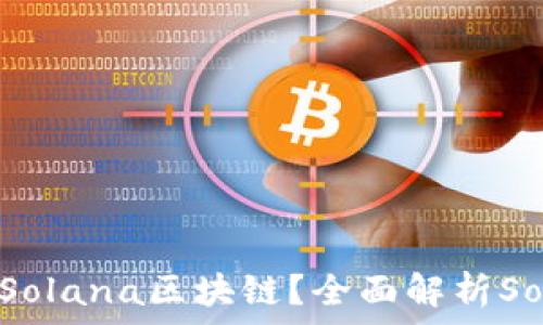   
哪些钱包支持Solana区块链？全面解析Solana钱包选择