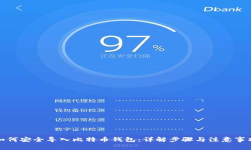 如何安全导入比特币钱包：详解步骤与注意事项