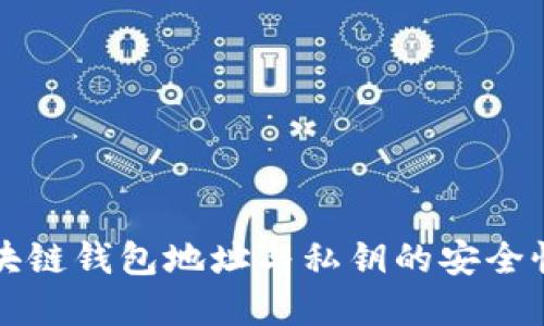 深入了解区块链钱包地址与私钥的安全性和使用技巧