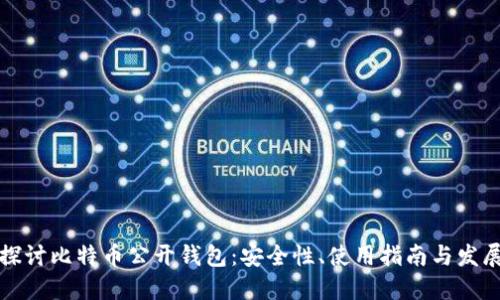 深入探讨比特币公开钱包：安全性、使用指南与发展趋势