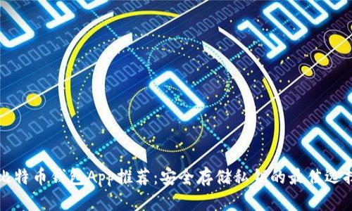 比特币钱包App推荐：安全存储私钥的最佳选择