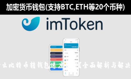 为什么比特币转钱包速度缓慢？全面解析与解决方案