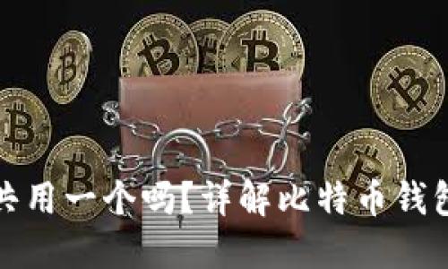 比特币钱包可以共用一个吗？详解比特币钱包的共享和安全性