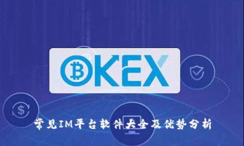 常见IM平台软件大全及优势分析