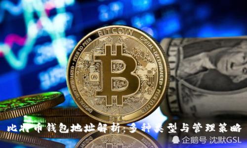 比特币钱包地址解析：多种类型与管理策略