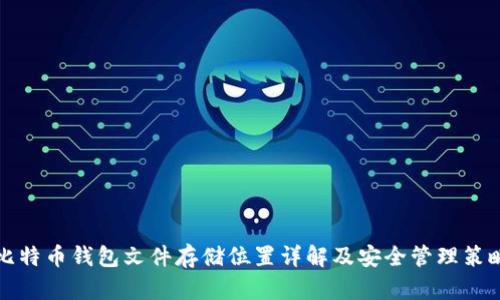 比特币钱包文件存储位置详解及安全管理策略