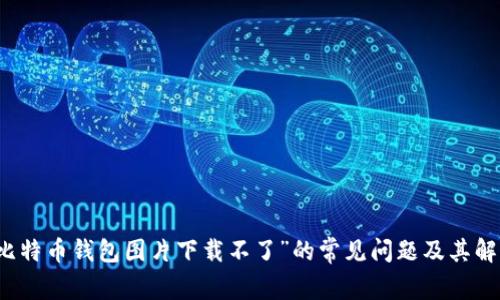 解决“比特币钱包图片下载不了”的常见问题及其解决方案
