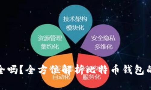比特币钱包联网安全吗？全方位解析比特币钱包的安全性及防护措施