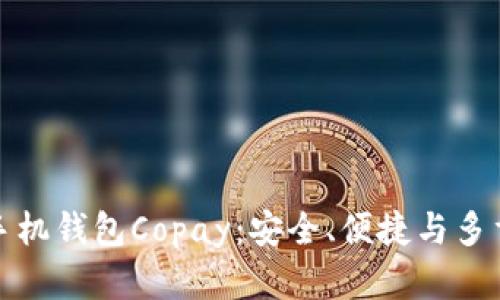 深入了解比特币手机钱包Copay：安全、便捷与多重签名的完美结合
