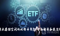 选择大存储空间的比特币钱包：全面解析和最佳
