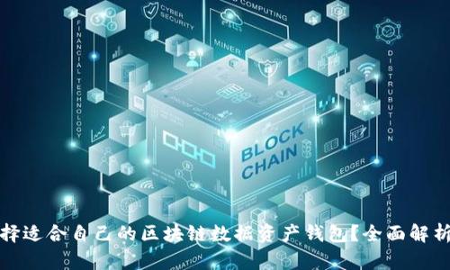 如何选择适合自己的区块链数据资产钱包？全面解析与建议