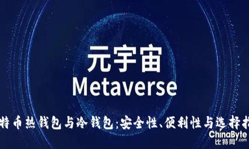 比特币热钱包与冷钱包：安全性、便利性与选择指南