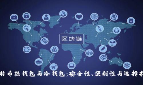比特币热钱包与冷钱包：安全性、便利性与选择指南