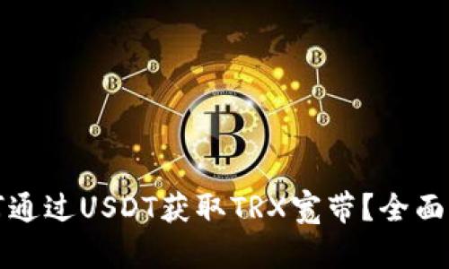 如何通过USDT获取TRX宽带？全面指南