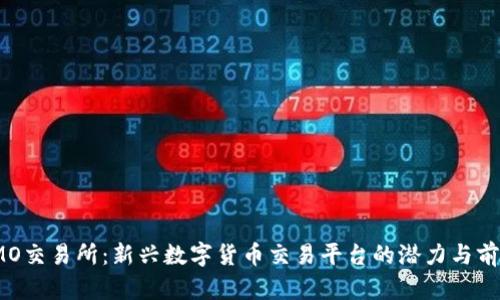 IMO交易所：新兴数字货币交易平台的潜力与前景