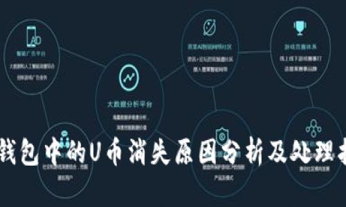 IM钱包中的U币消失原因分析及处理指南