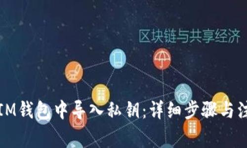 如何在IM钱包中导入私钥：详细步骤与注意事项