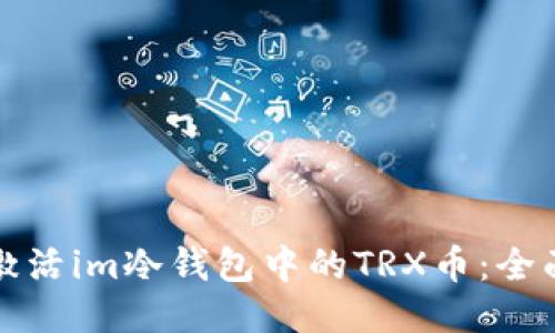 如何激活im冷钱包中的TRX币：全面指南
