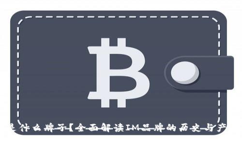 IM是什么牌子？全面解读IM品牌的历史与产品线