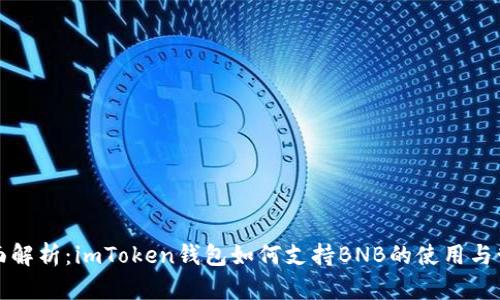 全面解析：imToken钱包如何支持BNB的使用与管理
