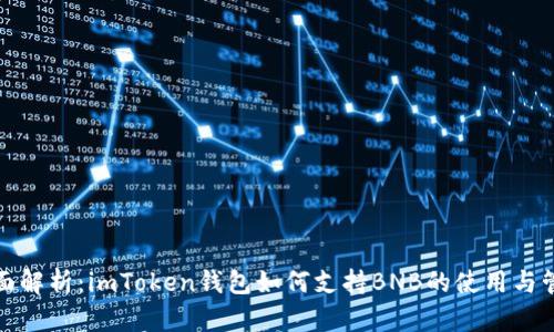 全面解析：imToken钱包如何支持BNB的使用与管理
