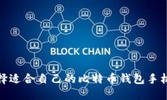 如何选择适合自己的比特币钱包手机中文版